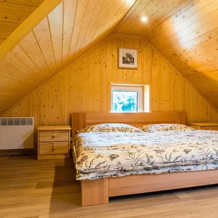 Spacious With Swimming Pool 别墅 Horni Podluzi